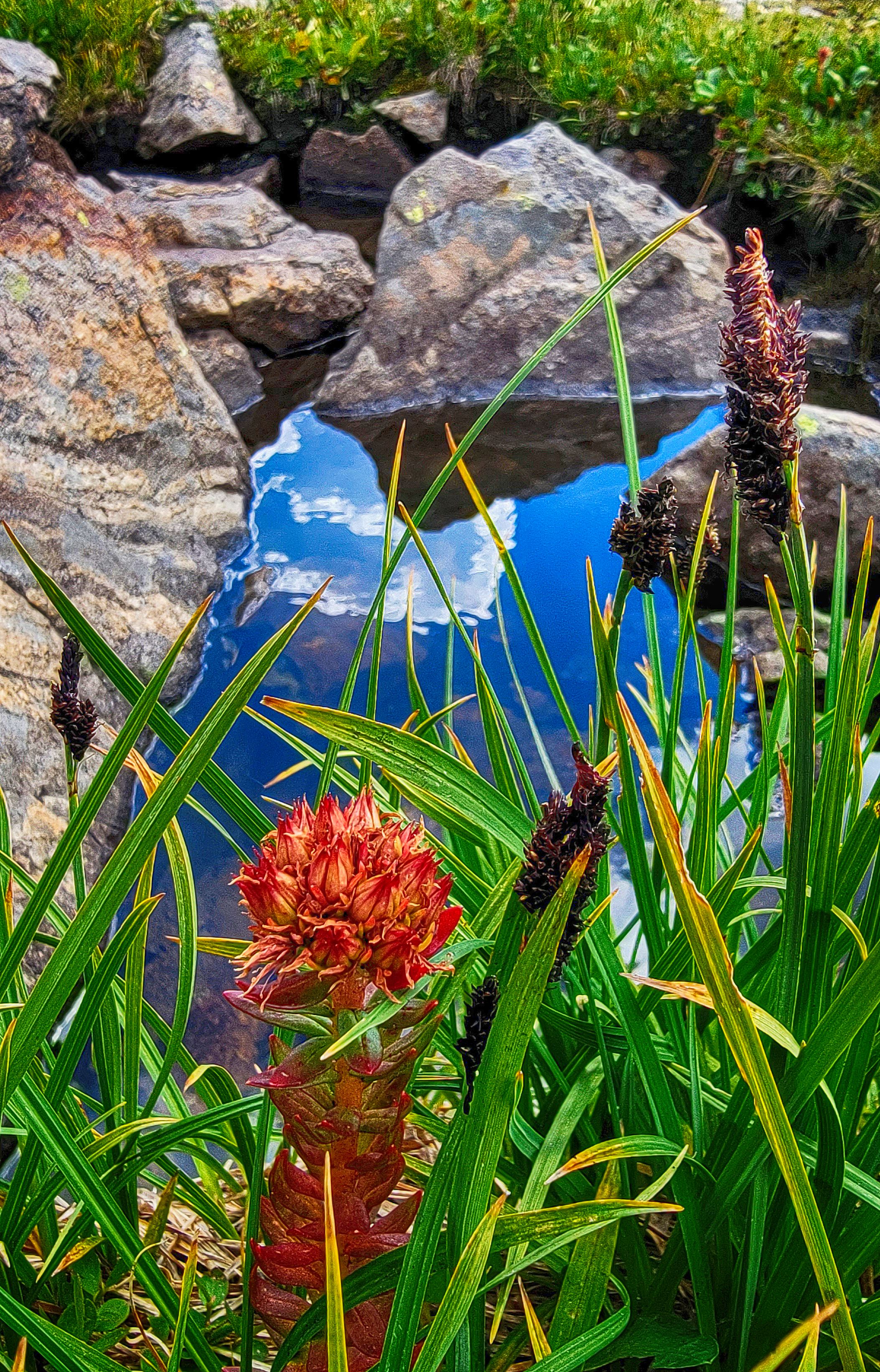 King's Crown & Mountain Pool